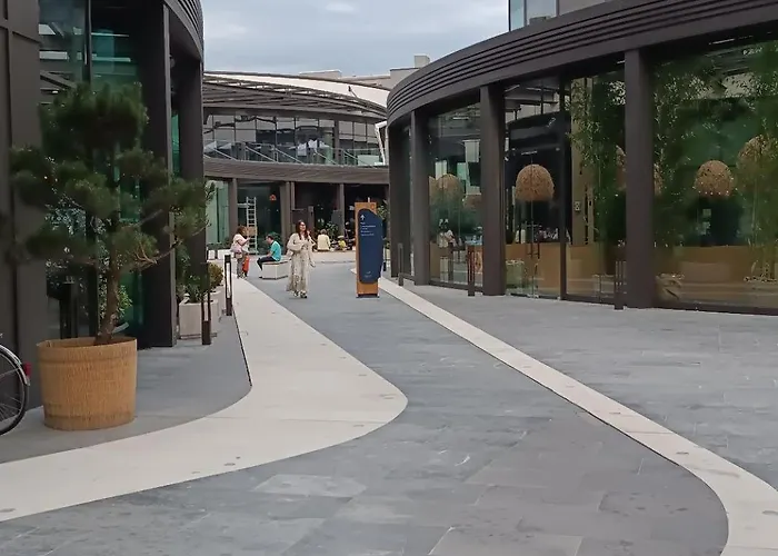 Nina Diamond Limak *